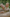 Banner promocional